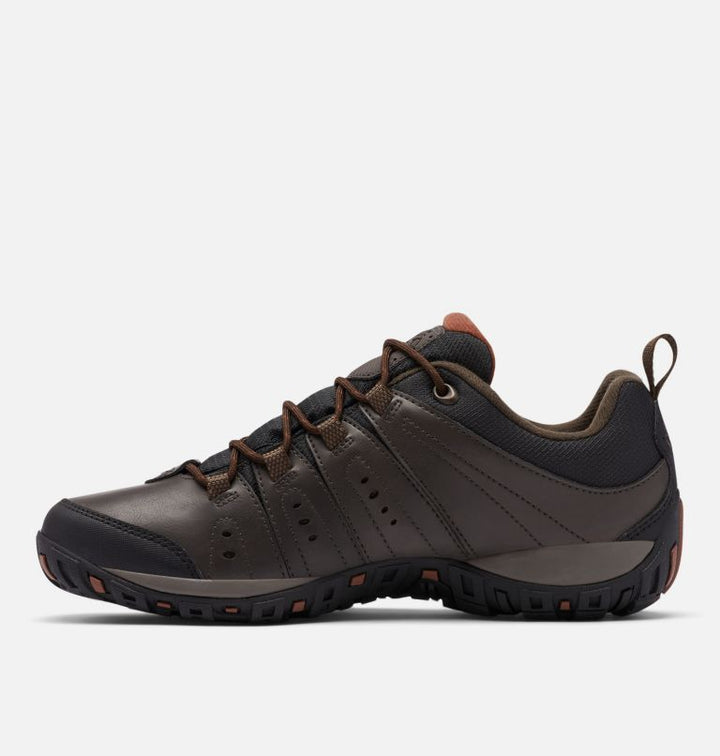 Men's Woodburn™ II Waterproof Shoe